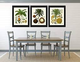 Amazon Com Palm Tree Art Print Set Of 3 Antique Beautiful