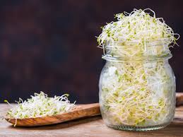 health benefits of bean sprouts