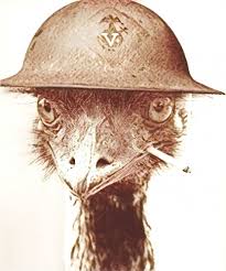 Image result for the great emu war