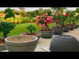 Diy How To Make Large Concrete Planters