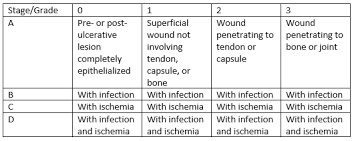 Classification Of Diabetic Foot Ulcers Woundsource