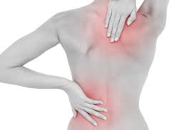 Just about everybody will and because nerves stretch out from the spinal cord throughout the entire body, low back strain can cause pain in areas other than your back. Lumbar Spine Anatomy Physicaltherapynow Com
