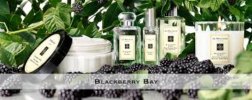 Fruity, fresh spicy, citrus, aromatic keywords: Blackberry Bay Ballantynes Department Store