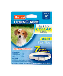 hartz ultra guard flea tick collar