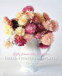 Dried Flowers In Winter