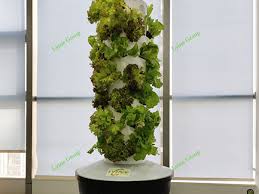 Vertical Hydroponic Planting