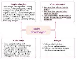 Maybe you would like to learn more about one of these? Kunci Jawaban Tema 1 Kelas 4 Halaman 101 102 103 104 105 106 107 108 Subtema 2 Kebersamaan Dalam Keberagaman Pembelajaran 3 Buku Tematik