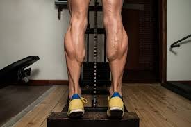 complete leg workout 8 exercises to