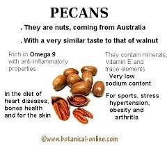 pecan nutritional properties