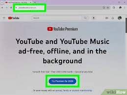 Learn How To Download Youtube Shorts To Mp4 With Single Clicks Top  gambar png