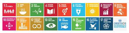 sdgs sustaility objectives
