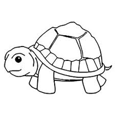 Using a piece of clean, white paper as a smudge tool, smooth and blend the color to soften it and create a uniform appearance. Turtles Free Printable Coloring Pages For Kids