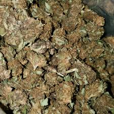Anyhow, some states, such as south dakota and nebraska, are amazingly rigorous regarding the sale and consumption of cannabis products. Low Grade Cbd Flower 1 2 Lbs 100 Lbs 16 Wholesale Cbd Flower Shop