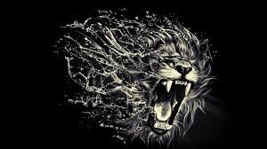 hd lion wallpapers 1080p wallpaper cave