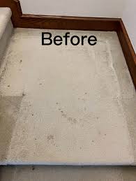 all star carpet cleaning dye reviews