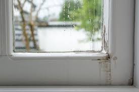 Window Leaks Rain Window
