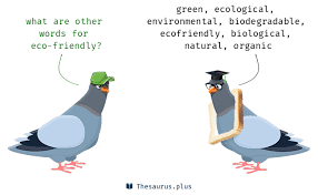 16 eco friendly synonyms similar words