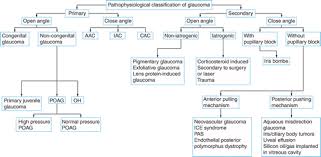 Classification Glaucoma Basic And