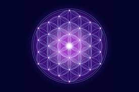 flower of life meaning flower meaning