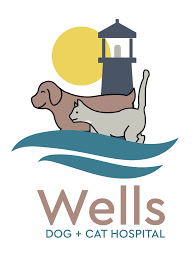 Our professional, friendly and dedicated staff are focused on individual attention to our. Wells Dog And Cat Hospital Wells Me 04090 Veterinarian