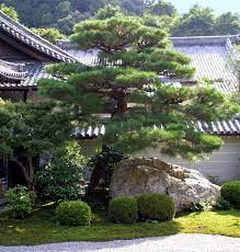 Japanese Gardens Elements Trees 1