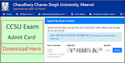 Image result for ccs university admit card pdf
