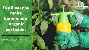 homemade organic pesticides