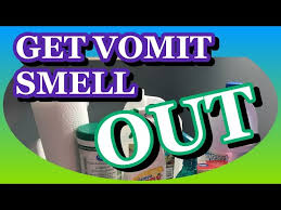 get vomit smell out vomit cleaning