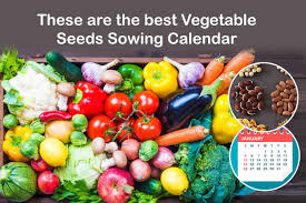vegetable seeds sowing calendar