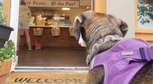 dog friendly restaurants on cape cod