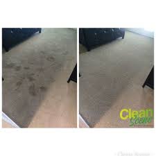clean scene carpet cleaning 306