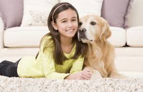 carpets for kids and pets