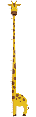 Yellow Giraffe Growth Chart For Childrens Room Inch