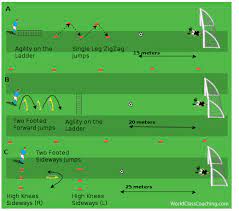 soccer specific endurance training with