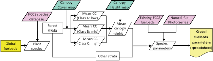 Flow Chart Of The Steps Performed For The Parameterization