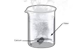 Calcium Is Denser Than Group 1 Metals