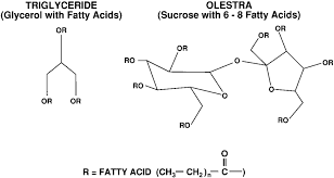 diagrammatic structures of olestra