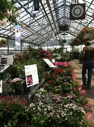 Winchester Town Of Ma Nurseries