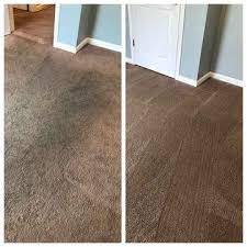lexington ky wildcat carpet cleaning