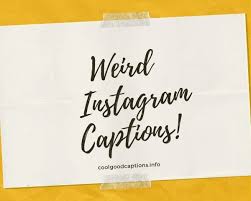 You've likely seen quotes on instagram posts before, but you may never have created one for your brand's account. 57 Weird Captions For Instagram Caption For Weird Photos