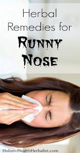 herbal remes for runny nose