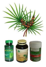 Whether it worked or not is unlikely but it. How To Take Saw Palmetto To Stop Hair Loss I Fashion Styles