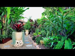 Wow Relaxing Tropical Garden