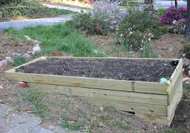 vegetable garden treated lumber