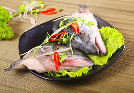 Nourriture En Asie : Recettes pour sashimi de saumon