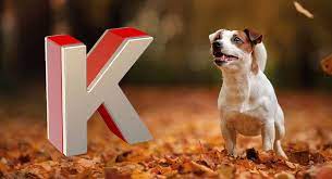 dog names that start with k great