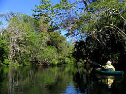 We did not find results for: Hillsborough River State Park Wikipedia