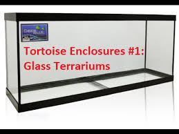 Tortoise Enclosures 1 Glass