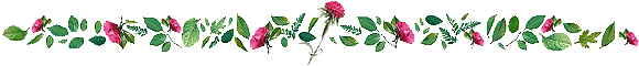 Resultado de imagen para flowers row images