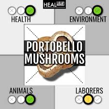 portobello mushroom benefits side